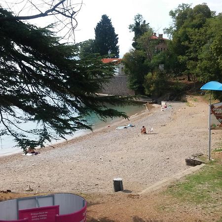 Family Friendly Apartments With A Swimming Pool Lovran, Opatija - 14178 エクステリア 写真
